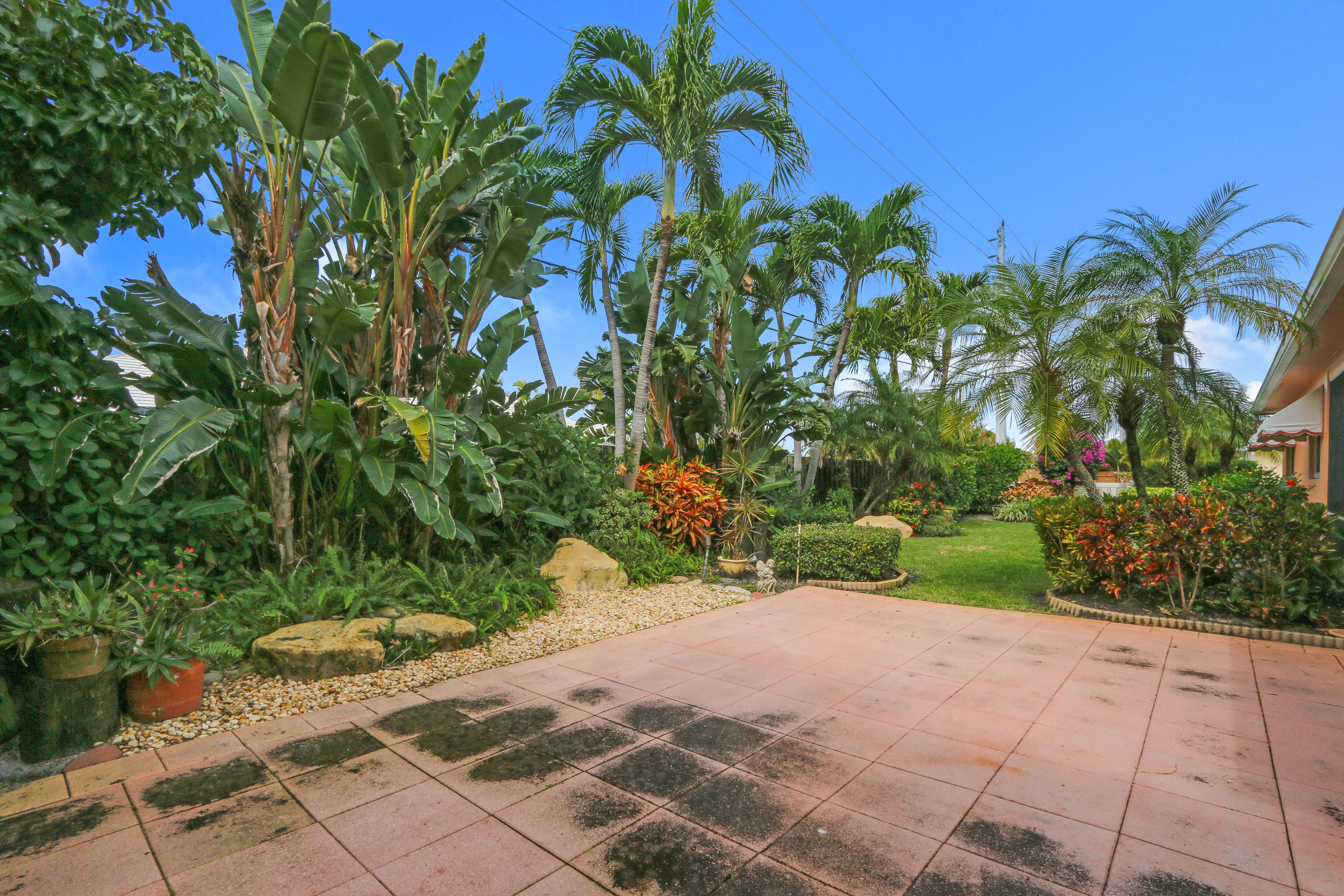 3533 Northeast 6th Drive Boca Raton, FL 33431 - Photo 23 of 23 a view of a garden with plants