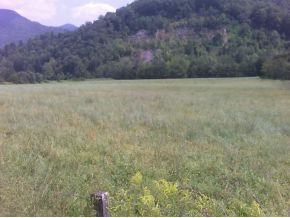 0 Tract 3 Rittertown Road Hampton, TN 37658 - Photo 2 of 2 Photo 2