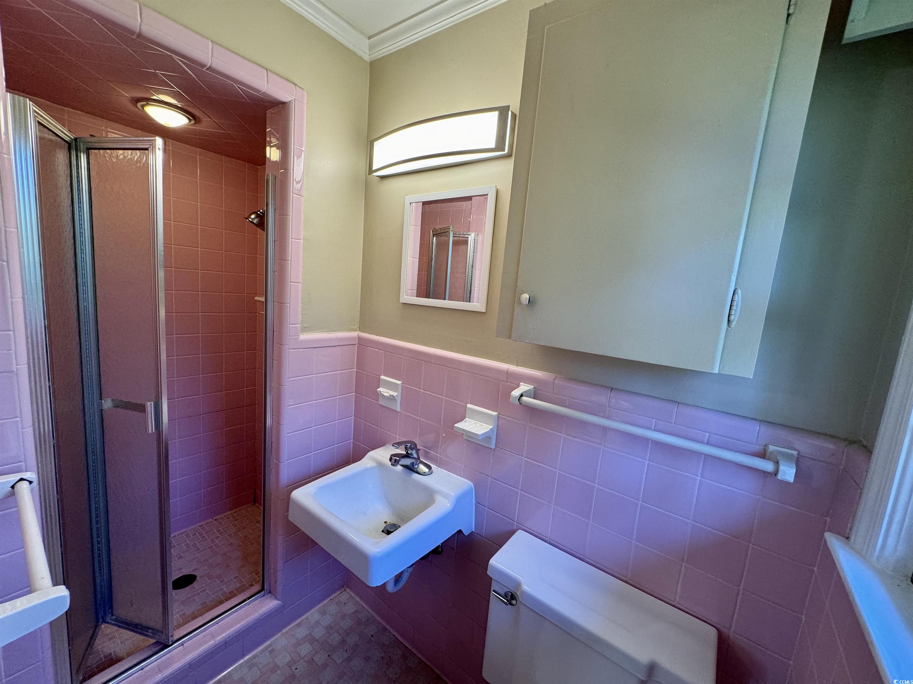 409 North Main Street Hemingway, SC 29554 - Photo 19 of 27 Bathroom featuring a shower with door, sink, toile