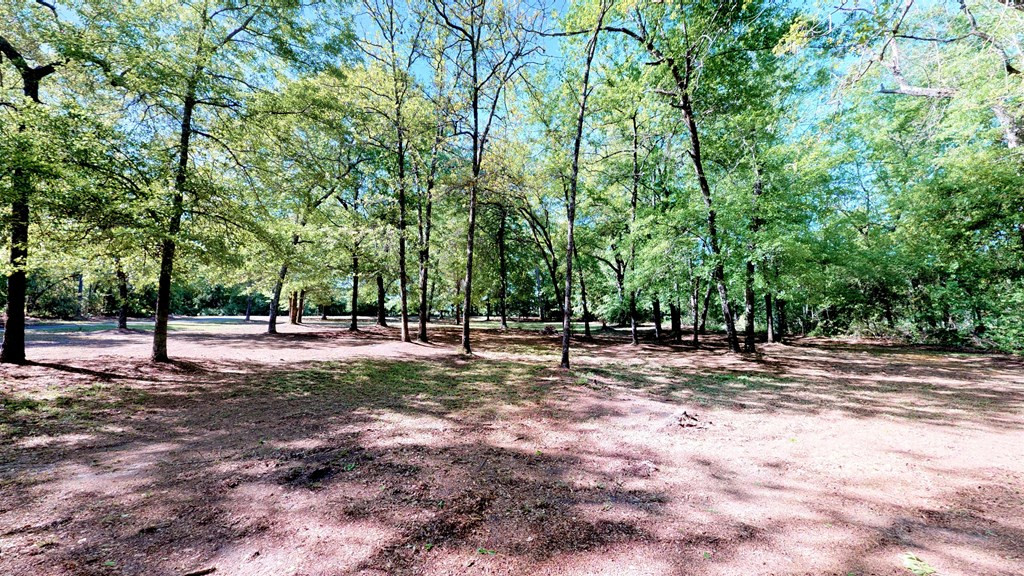 661 Coleman Bridge Road Aiken, SC 29805 - Photo 3 of 33