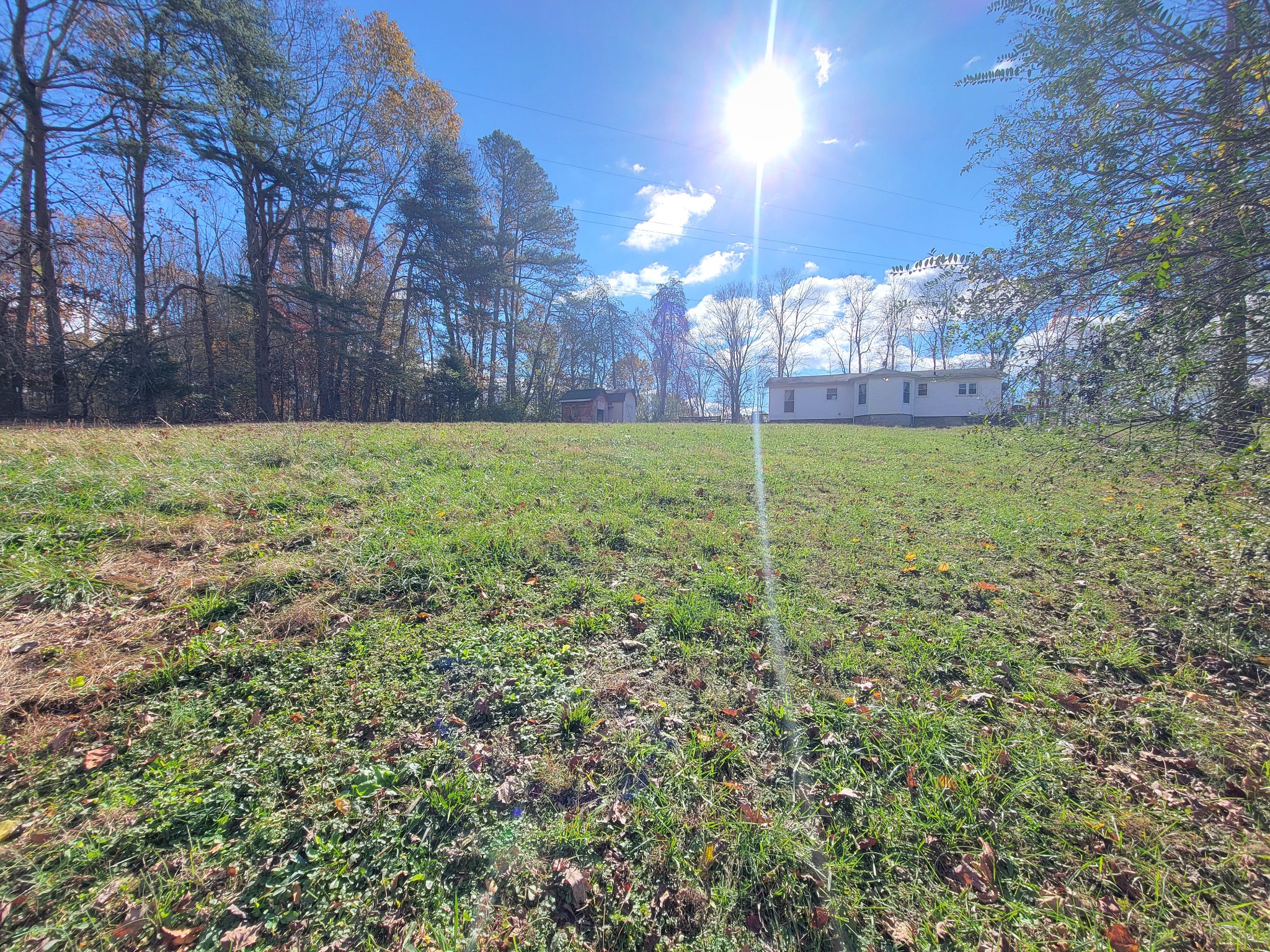 185 B Y Brown Road Charlotte, TN 37036 - Photo 48 of 52 a view of outdoor space and yard