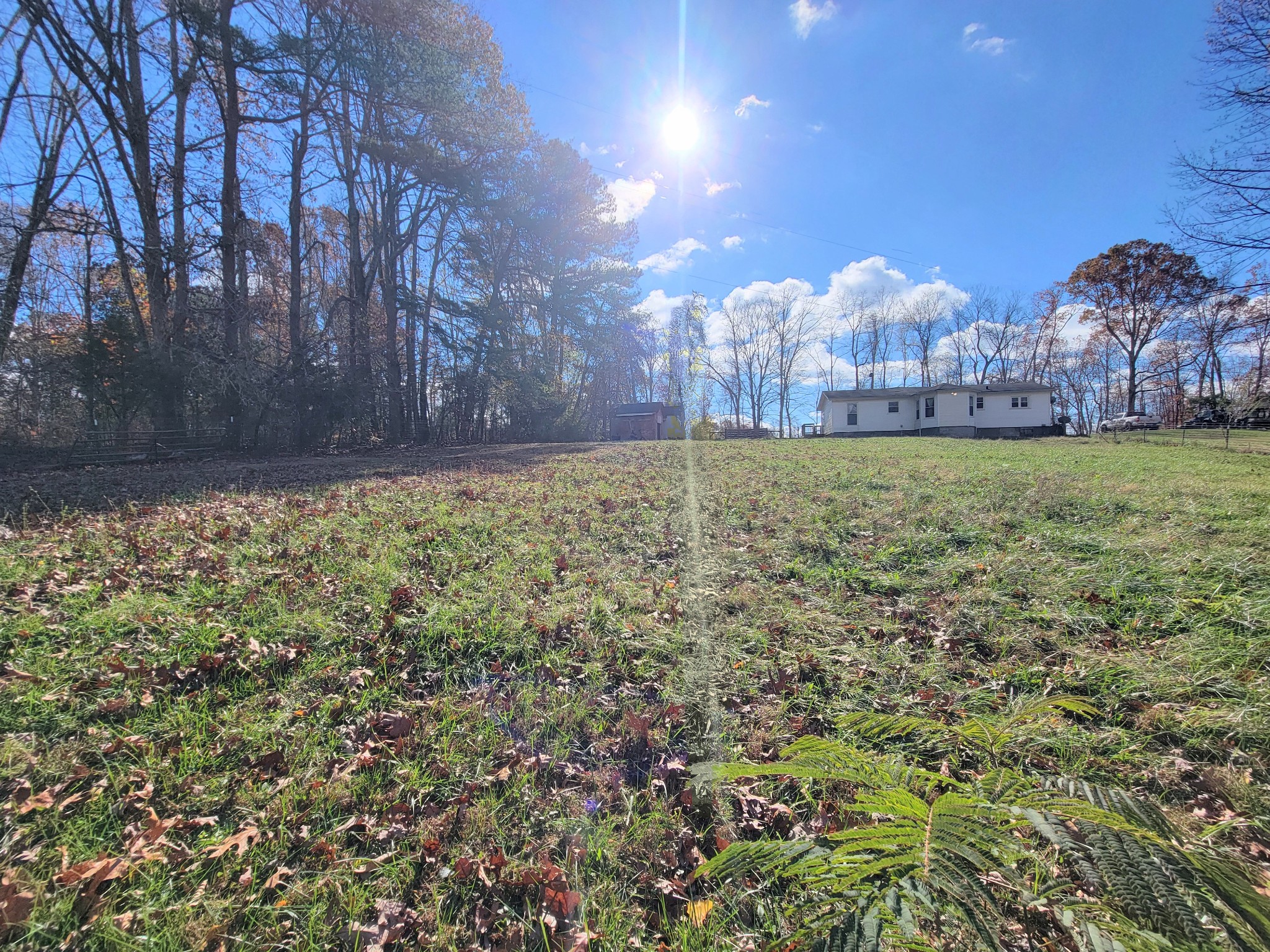 185 B Y Brown Road Charlotte, TN 37036 - Photo 50 of 52 a view of a yard