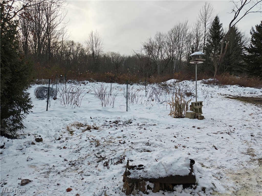 7407 Jefferson Road Ashtabula, OH 44004 - Photo 14 of 15 View of yard covered in snow
