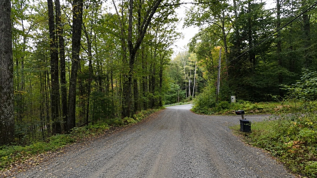0 William Holmes Road Becket, MA 01223 - Photo 6 of 9 a view of a road with trees in the background