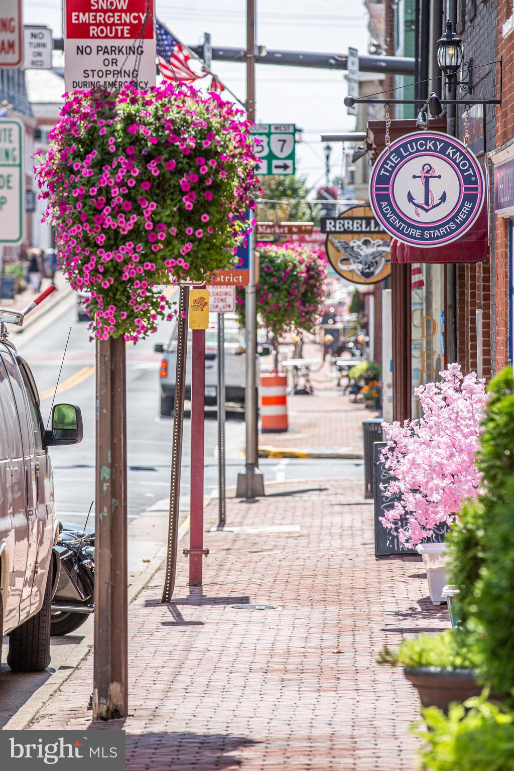 405 Edwards Ferry Road Northeast Leesburg, VA 20176 - Photo 63 of 95 DOWNTOWN HISTORIC LEESBURG