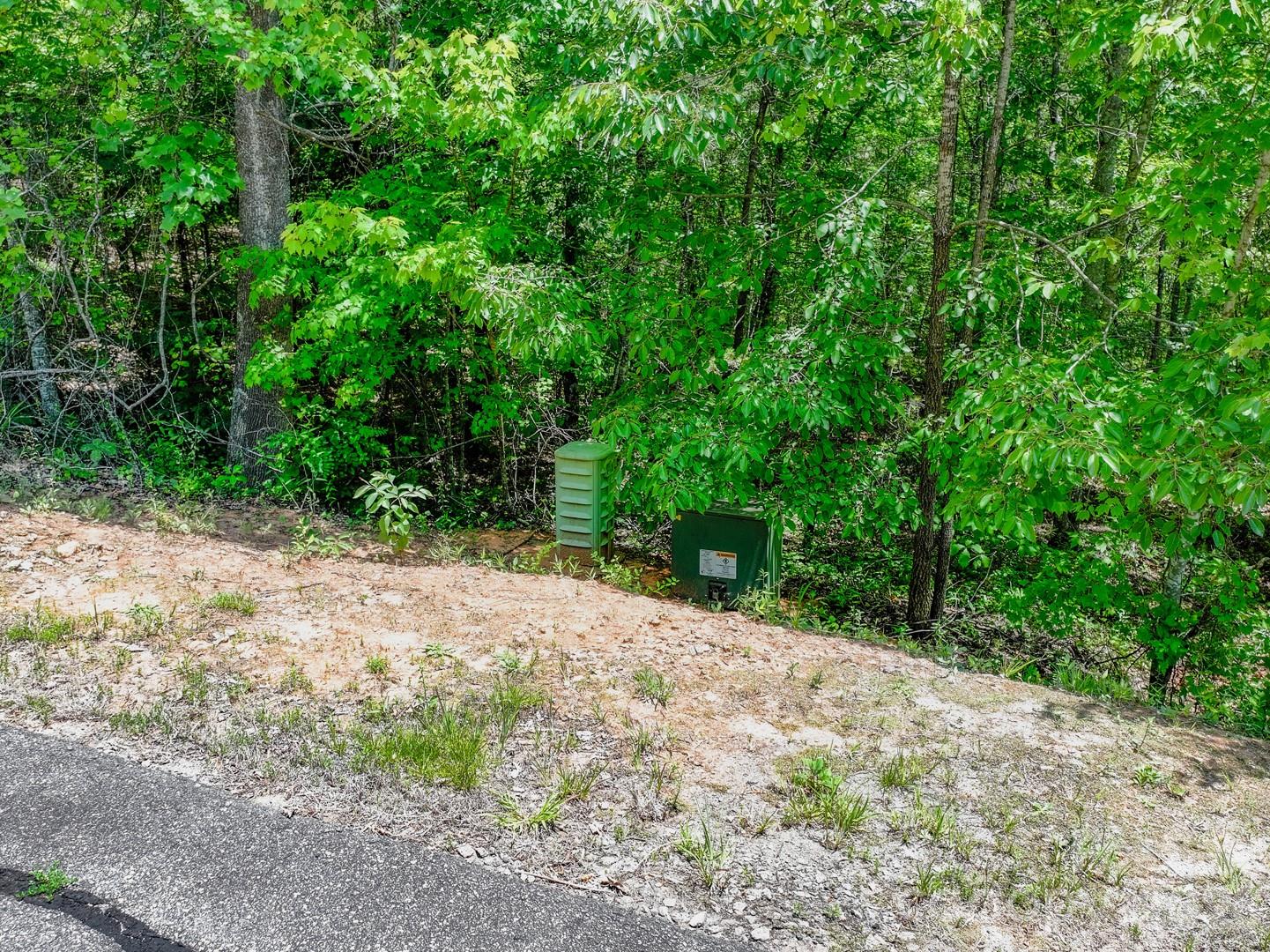 121 Jobes Trail, Unit 35 Mill Spring, NC 28756 - Photo 16 of 20