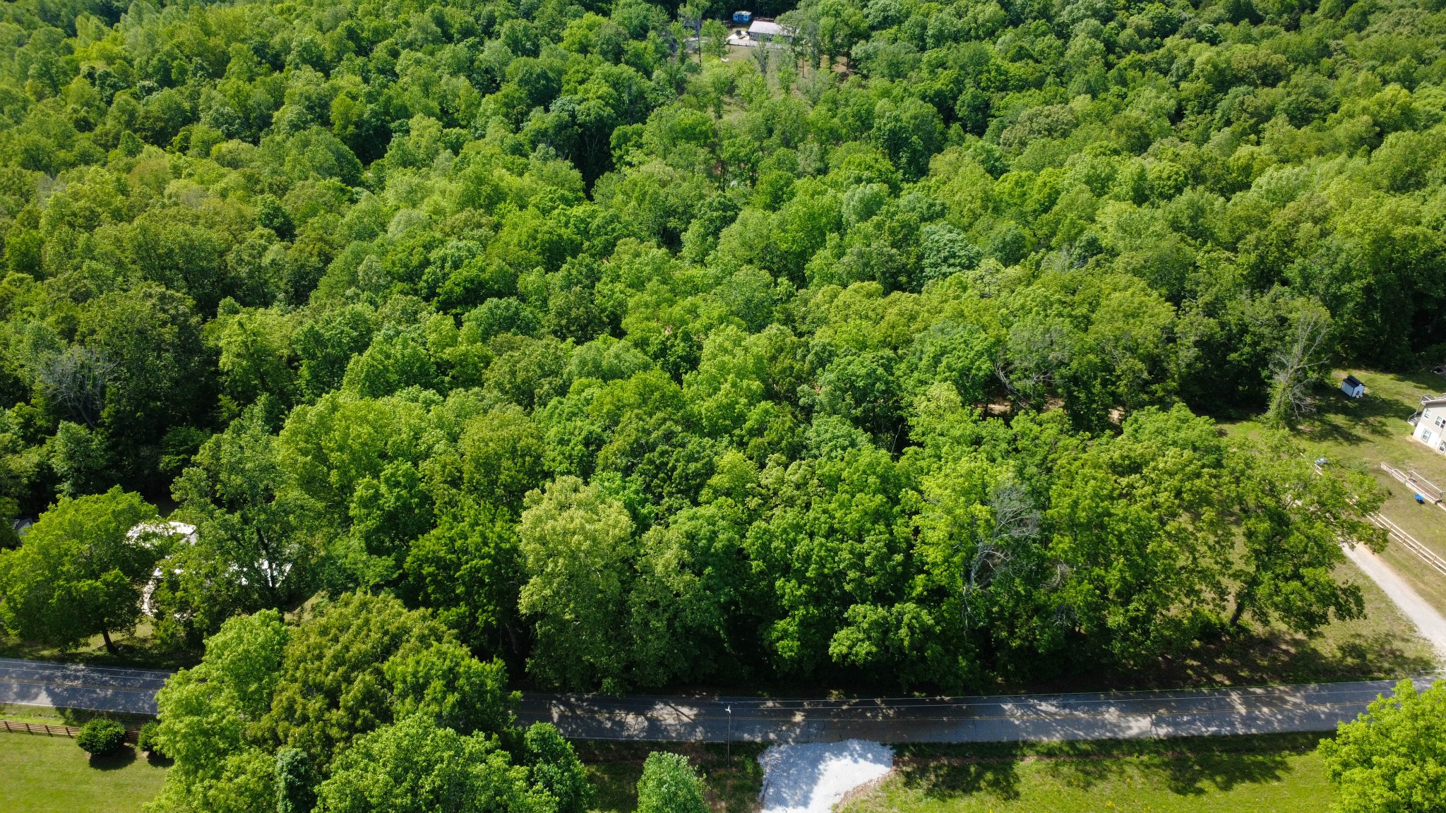 0 Akin Road Cunningham, TN 37052 - Photo 11 of 16 Gallery Image 11