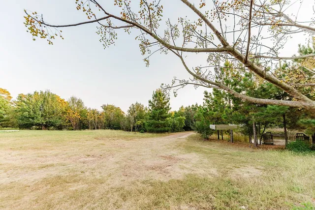 a view of a outdoor space with a tree