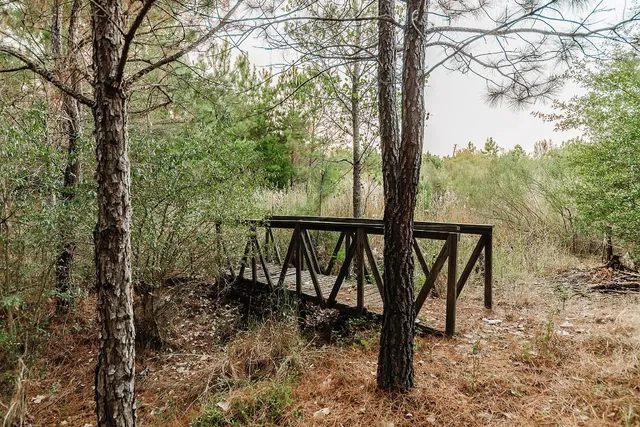 a view of outdoor space and trees