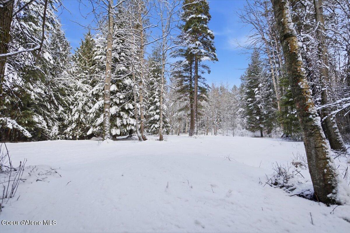 Lot 7 West Hidden Harbor Lane Sandpoint, ID 83864 - Photo 11 of 14 Clearing