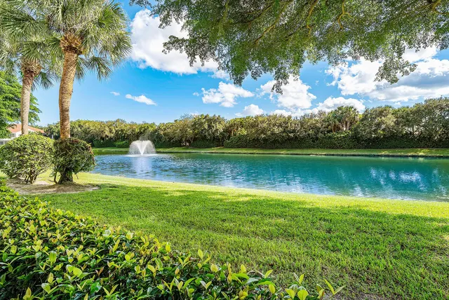 a view of a lake with a tree