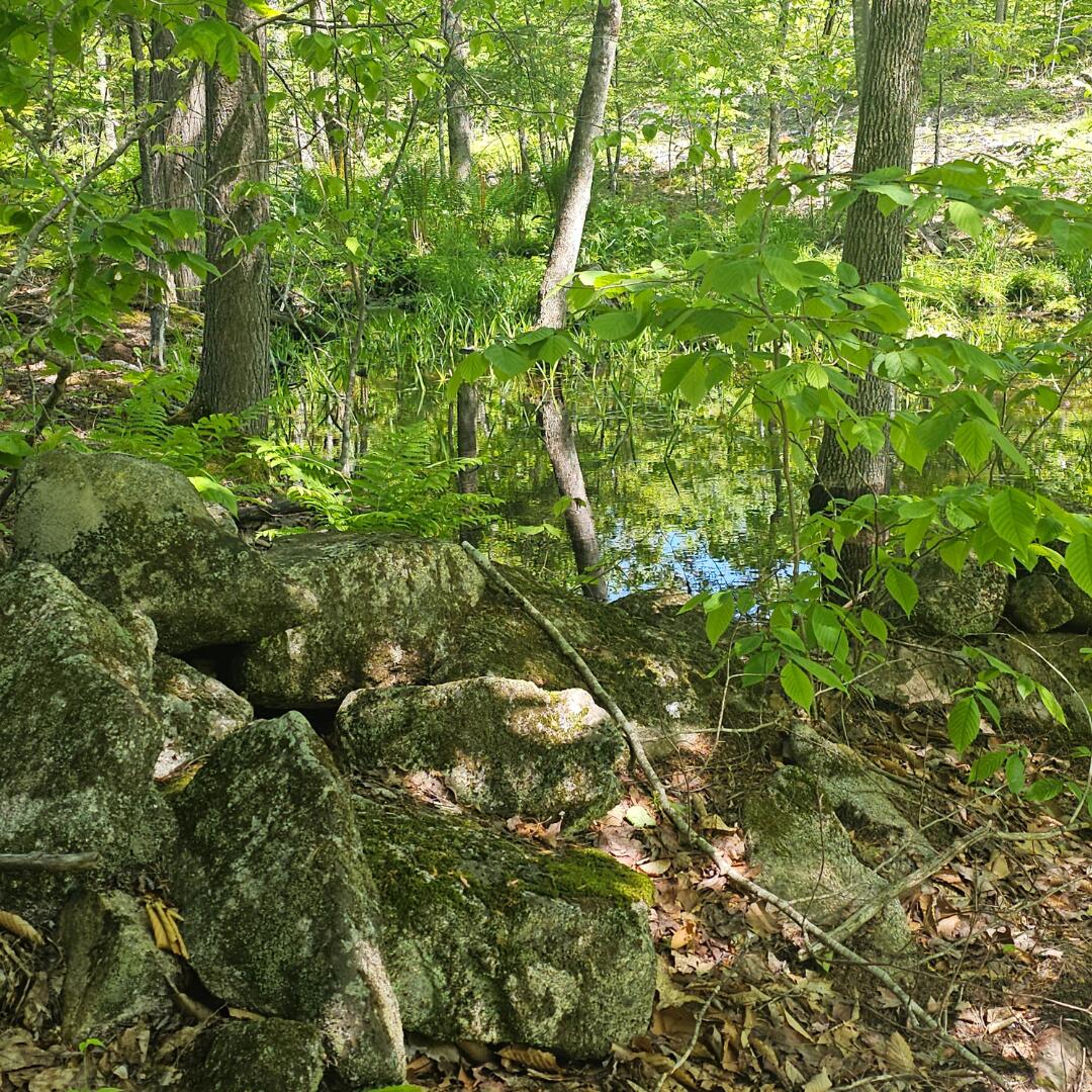 18 B Isaac Stevens Road Bridgton, ME 04009 - Photo 2 of 15 pool