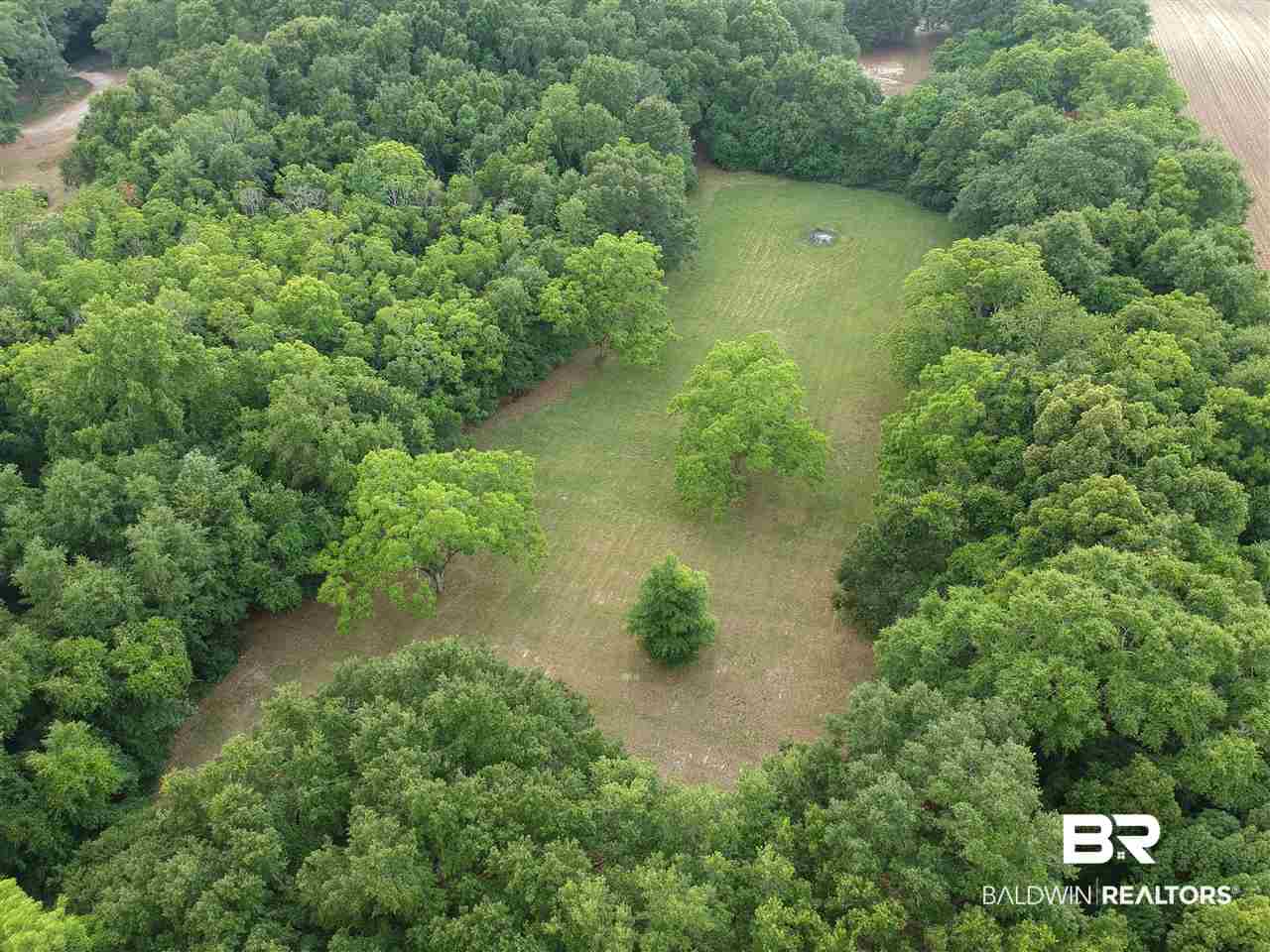 19609 State Highway 181 Fairhope, AL 36532 - Photo 29 of 35 Property View