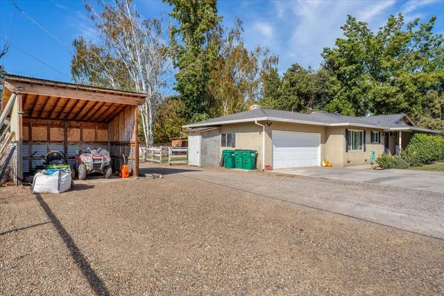 a view of a park with large trees