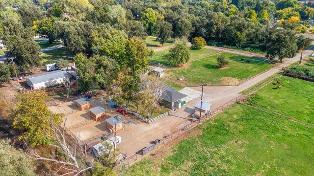 a bathroom with a sink a toilet and a shower