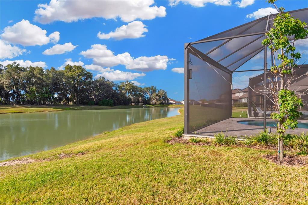 9107 Rally Spring Loop Wesley Chapel, FL 33545 - Photo 40 of 50