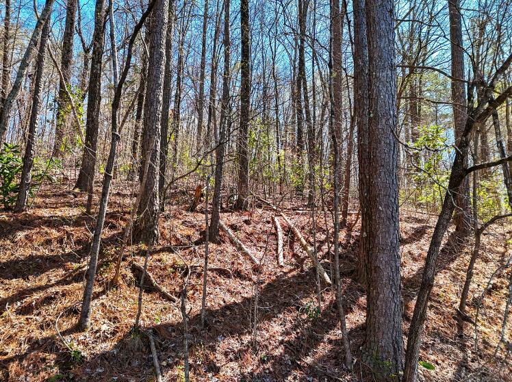 1720 Spring View Lane Chattanooga, TN 37421 - Photo 7 of 15 Screen Shot 2026-03-24 at 2.35.55 PM