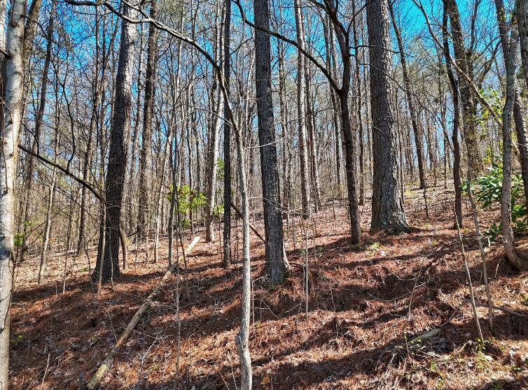 1720 Spring View Lane Chattanooga, TN 37421 - Photo 8 of 15 Screen Shot 2026-03-24 at 2.37.55 PM