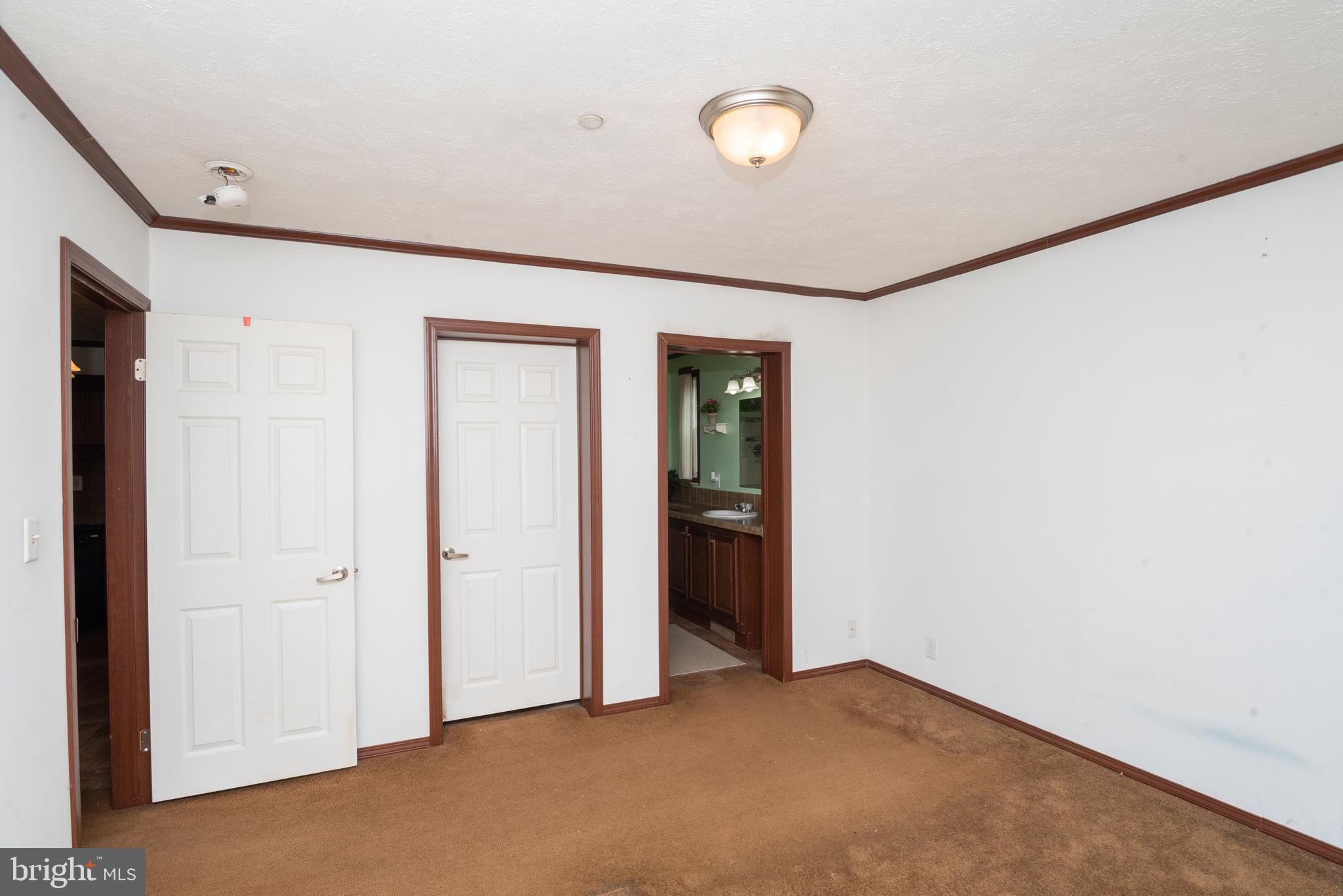 23194 Harrison Road Deal Island, MD 21821 - Photo 17 of 35 Primary Bedroom with walk-in closet & full bath