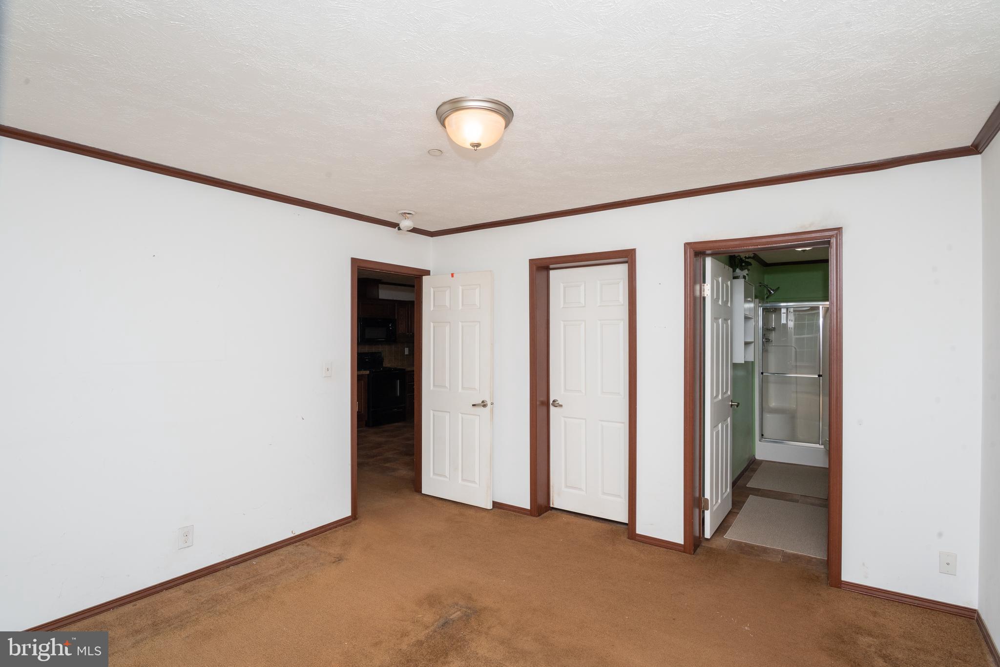 23194 Harrison Road Deal Island, MD 21821 - Photo 18 of 35 Primary Bedroom with walk-in closet & full bath