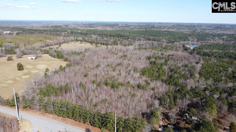 637 Cook Road Ridgeway, SC 29130 - Photo 49 of 51