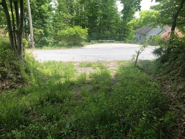 a view of yard with green space