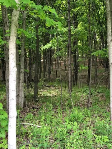 a backyard of a house with lots of green space