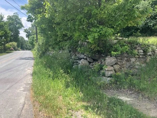 a view of a lush green forest
