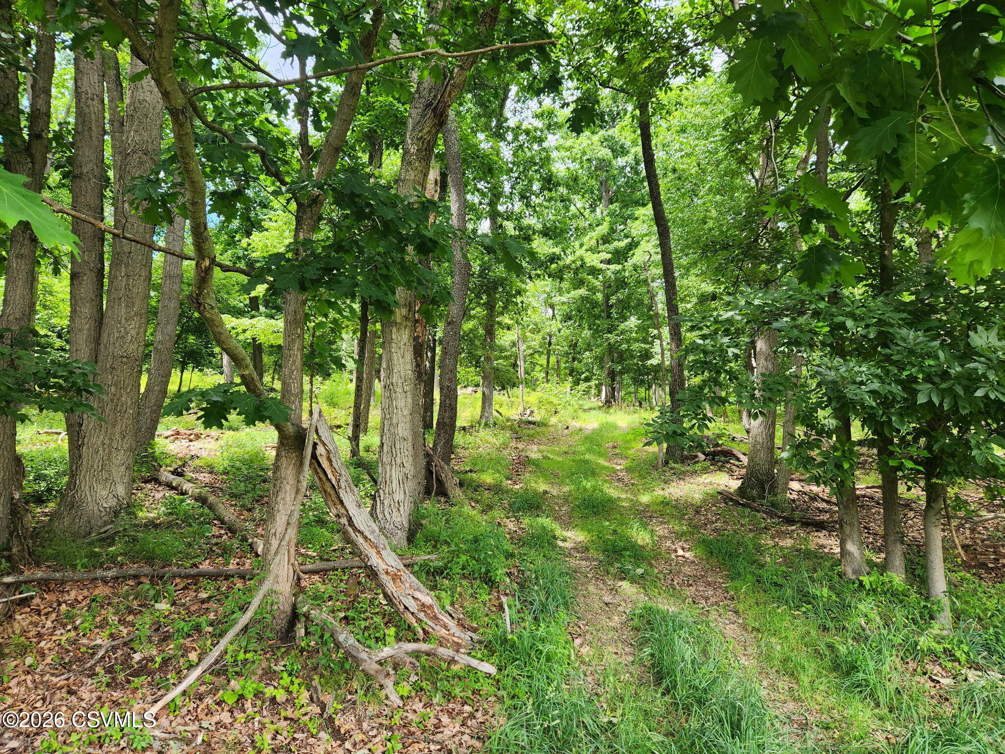 Valley West Road Danville, PA 17821 - Photo 5 of 14 a backyard of a house with lots of green space