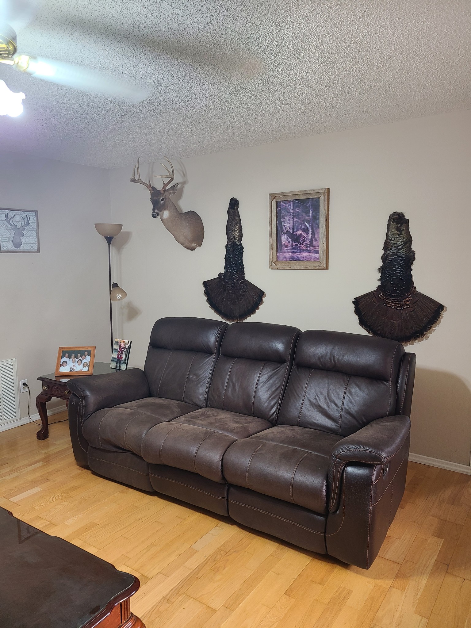 1800 Bee Spring Road Dellrose, TN 38453 - Photo 12 of 21 a living room with furniture and a rug