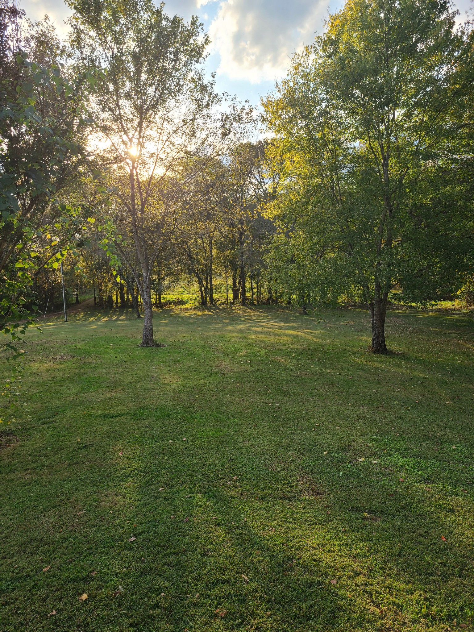 1800 Bee Spring Road Dellrose, TN 38453 - Photo 19 of 21 a backyard of a house with lots of green space and fountain