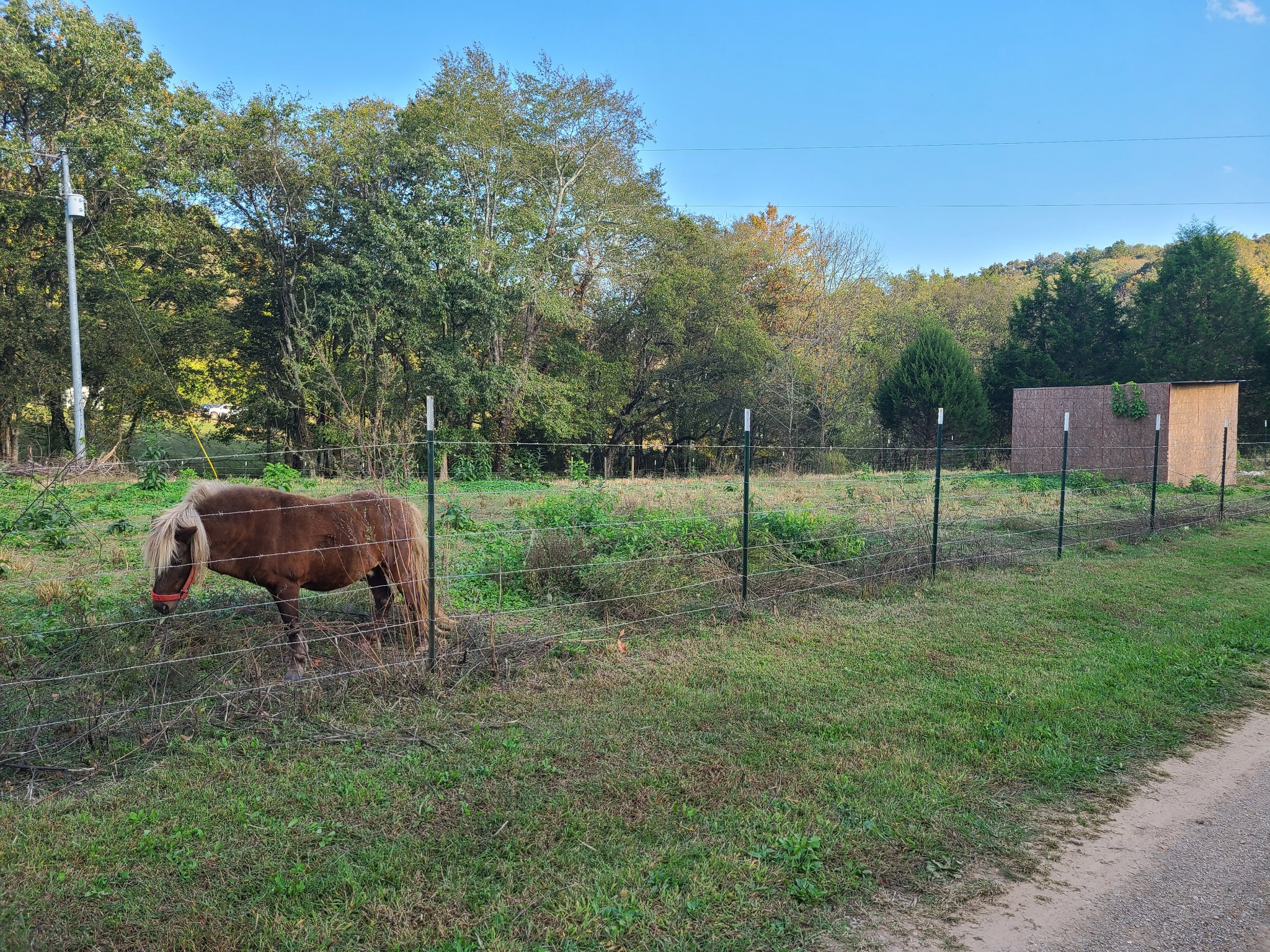 1800 Bee Spring Road Dellrose, TN 38453 - Photo 20 of 21 a view of a park with a bench