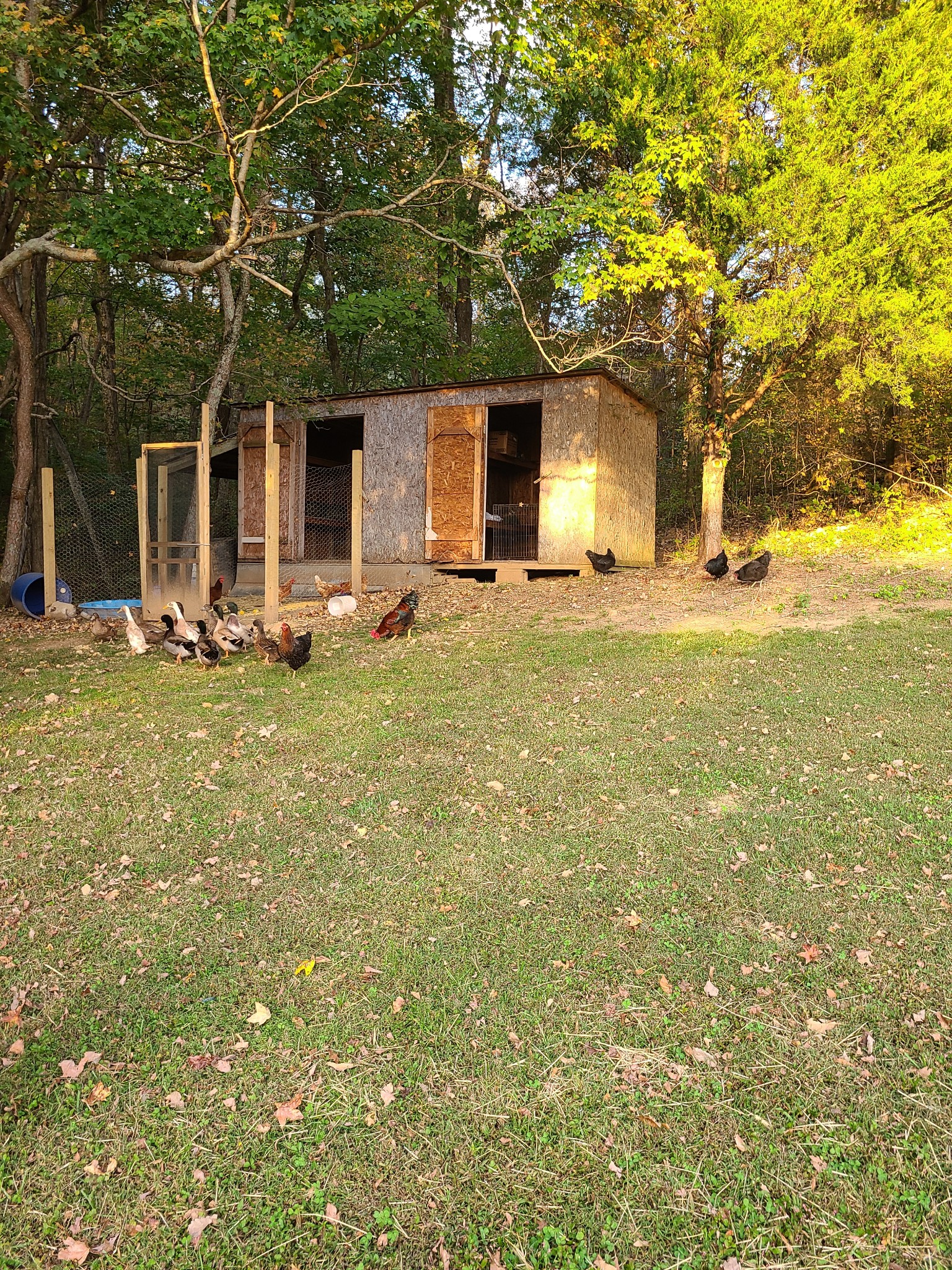 1800 Bee Spring Road Dellrose, TN 38453 - Photo 21 of 21 front view of a house with a big yard