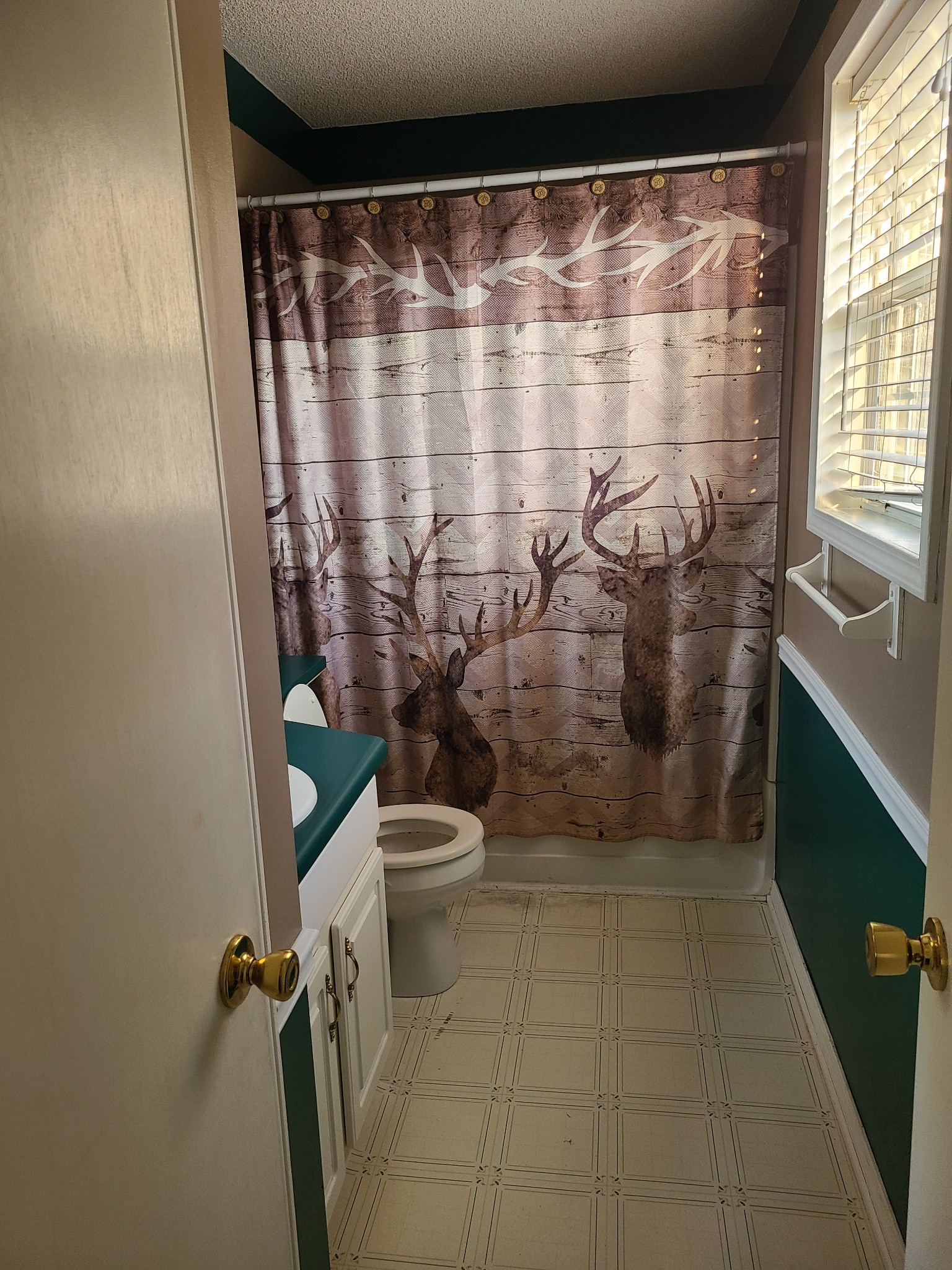 1800 Bee Spring Road Dellrose, TN 38453 - Photo 9 of 21 a bathroom with a shower and a toilet