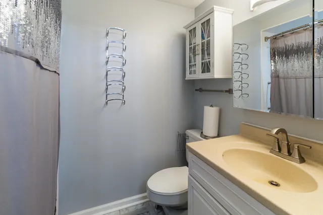 a bathroom with a sink toilet and vanity