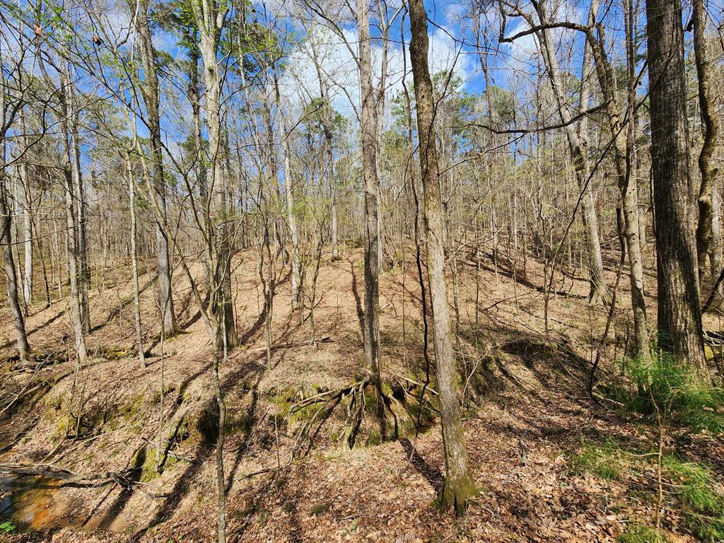 0 Burney Road Hazlehurst, MS 39083 - Photo 20 of 31 Photo 20