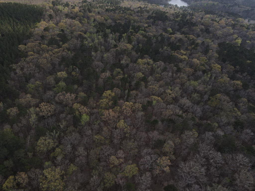 0 Burney Road Hazlehurst, MS 39083 - Photo 2 of 31 Photo 2
