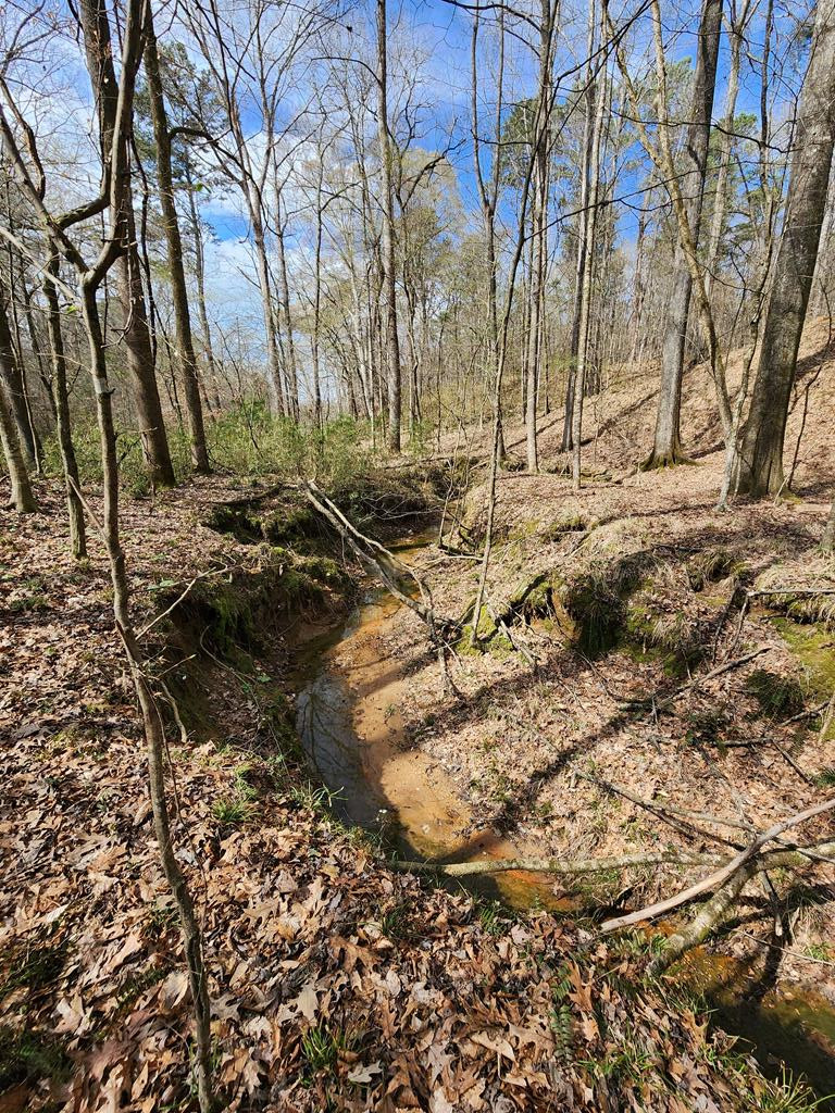 0 Burney Road Hazlehurst, MS 39083 - Photo 21 of 31 Photo 21