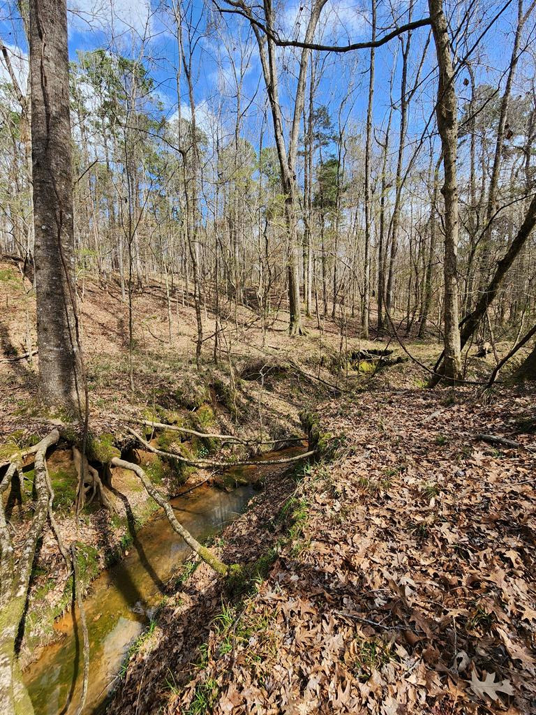0 Burney Road Hazlehurst, MS 39083 - Photo 22 of 31 Photo 22