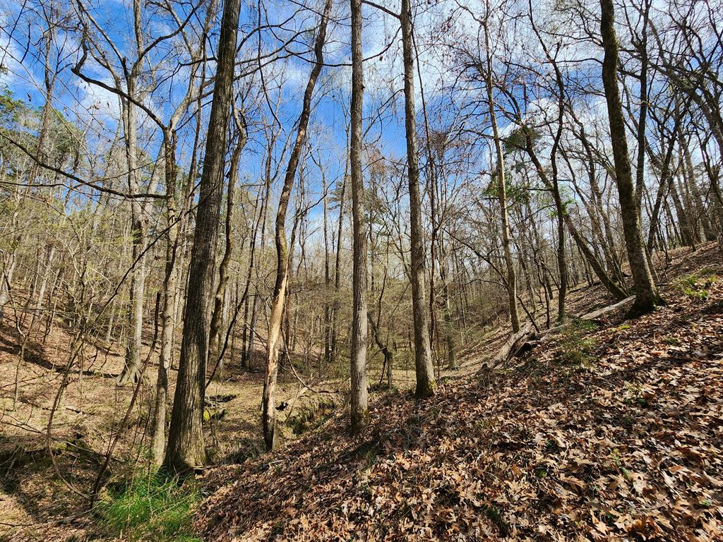 0 Burney Road Hazlehurst, MS 39083 - Photo 23 of 31 Photo 23