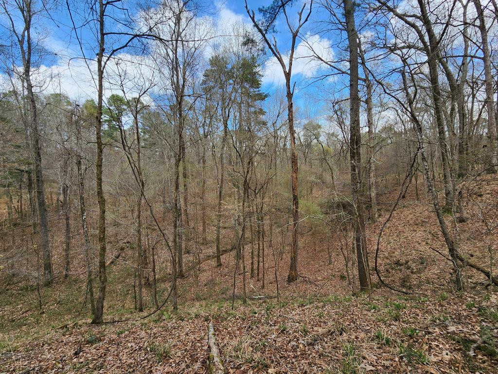 0 Burney Road Hazlehurst, MS 39083 - Photo 27 of 31 Photo 27