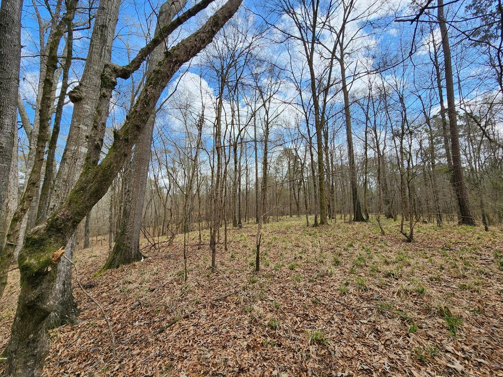 0 Burney Road Hazlehurst, MS 39083 - Photo 28 of 31 Photo 28