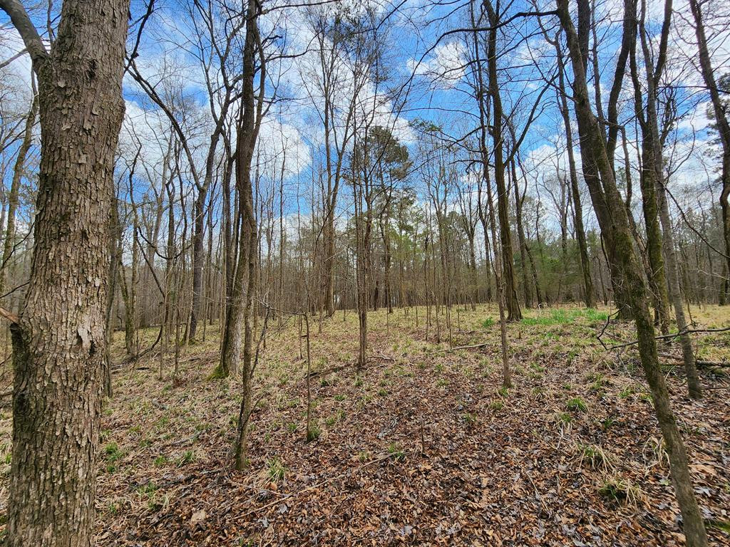 0 Burney Road Hazlehurst, MS 39083 - Photo 29 of 31 Photo 29