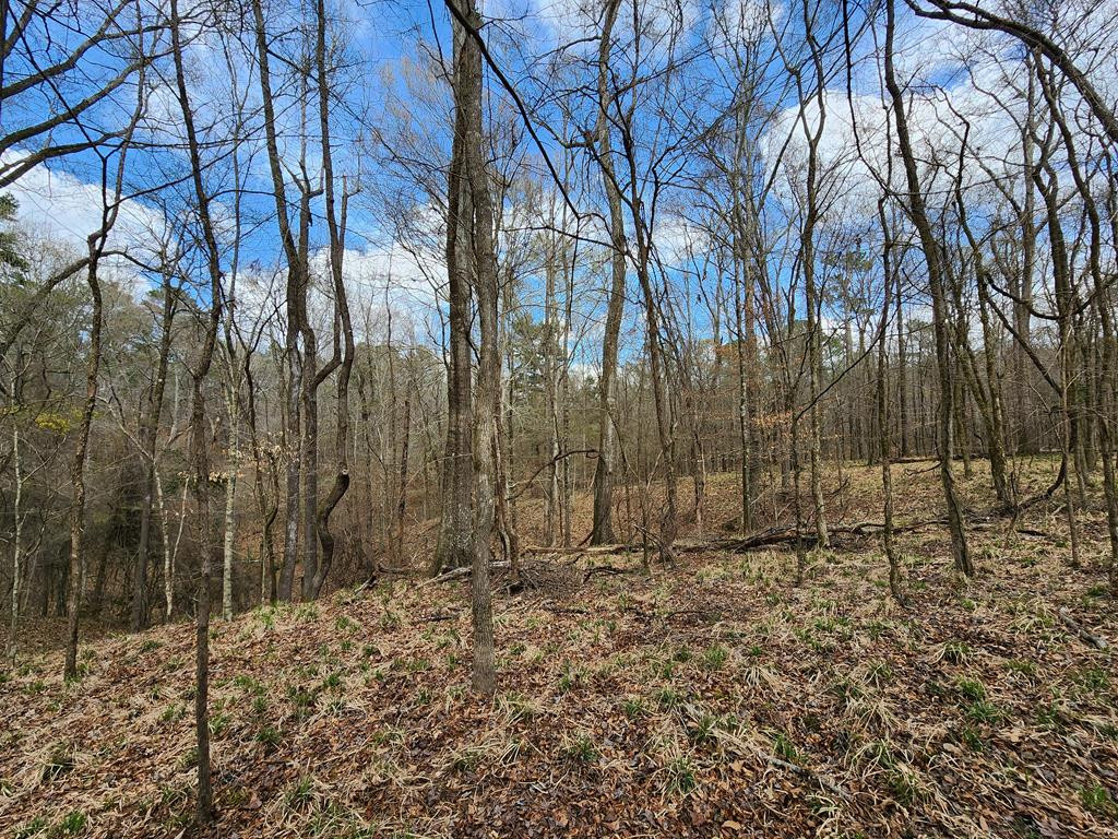 0 Burney Road Hazlehurst, MS 39083 - Photo 30 of 31 Photo 30
