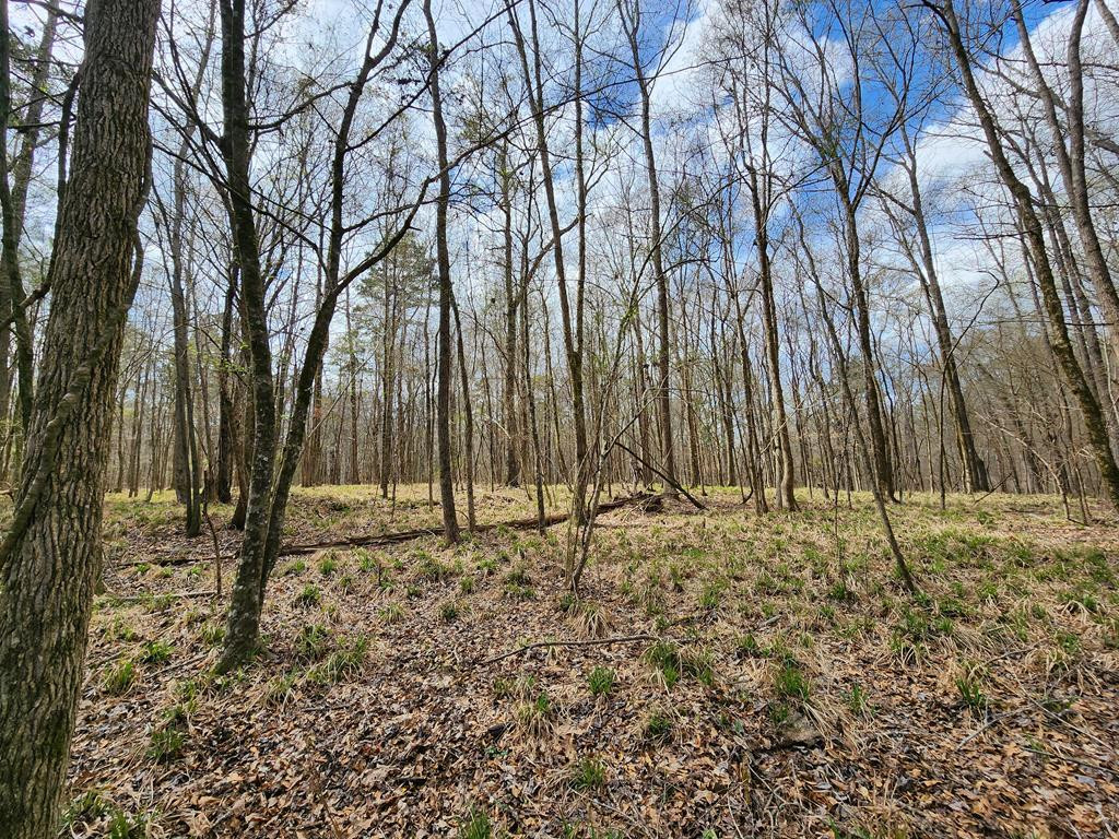 0 Burney Road Hazlehurst, MS 39083 - Photo 31 of 31 Photo 31