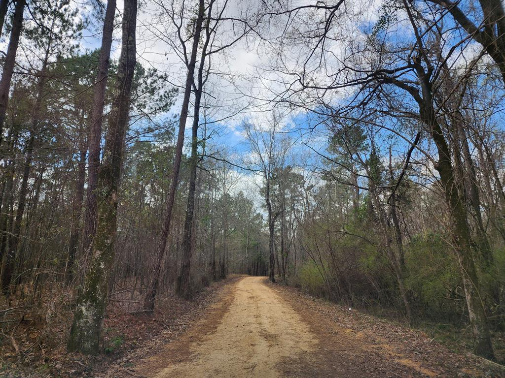 0 Burney Road Hazlehurst, MS 39083 - Photo 8 of 31 Photo 8