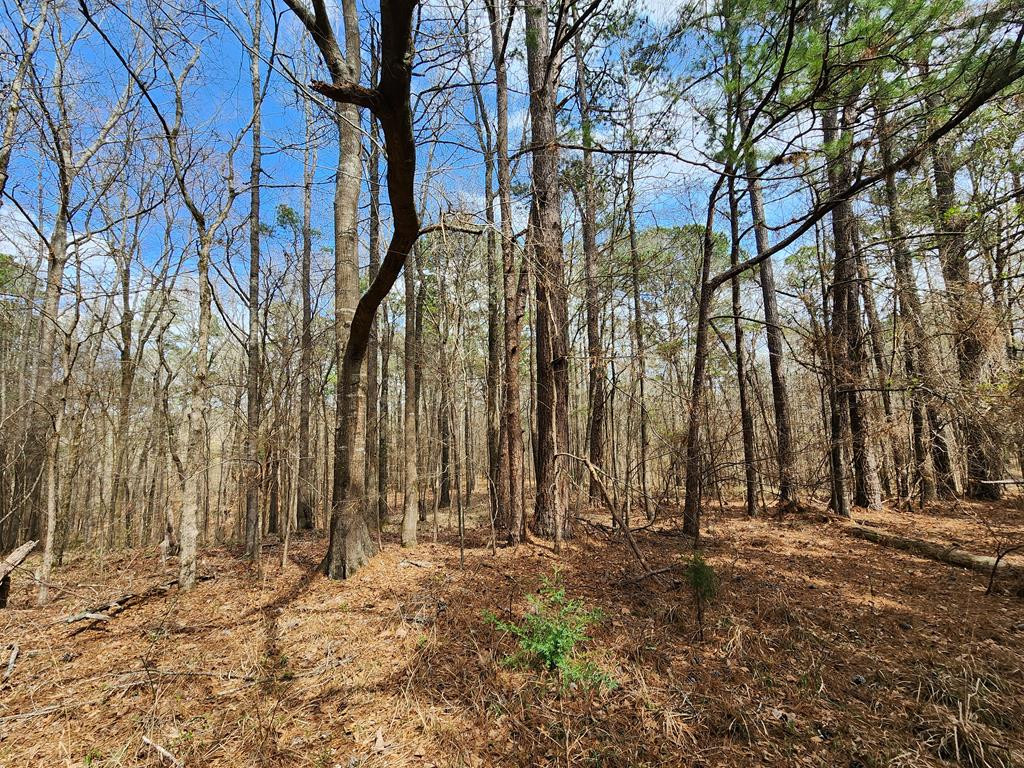 0 Burney Road Hazlehurst, MS 39083 - Photo 10 of 31 Photo 10