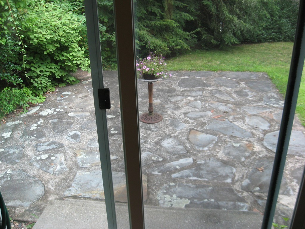 133 Flat Hills Road Amherst, MA 01002 - Photo 10 of 30