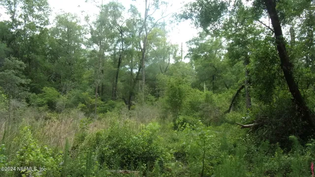 $37,000 | 141 Crosby Road, Florahome, FL 32140