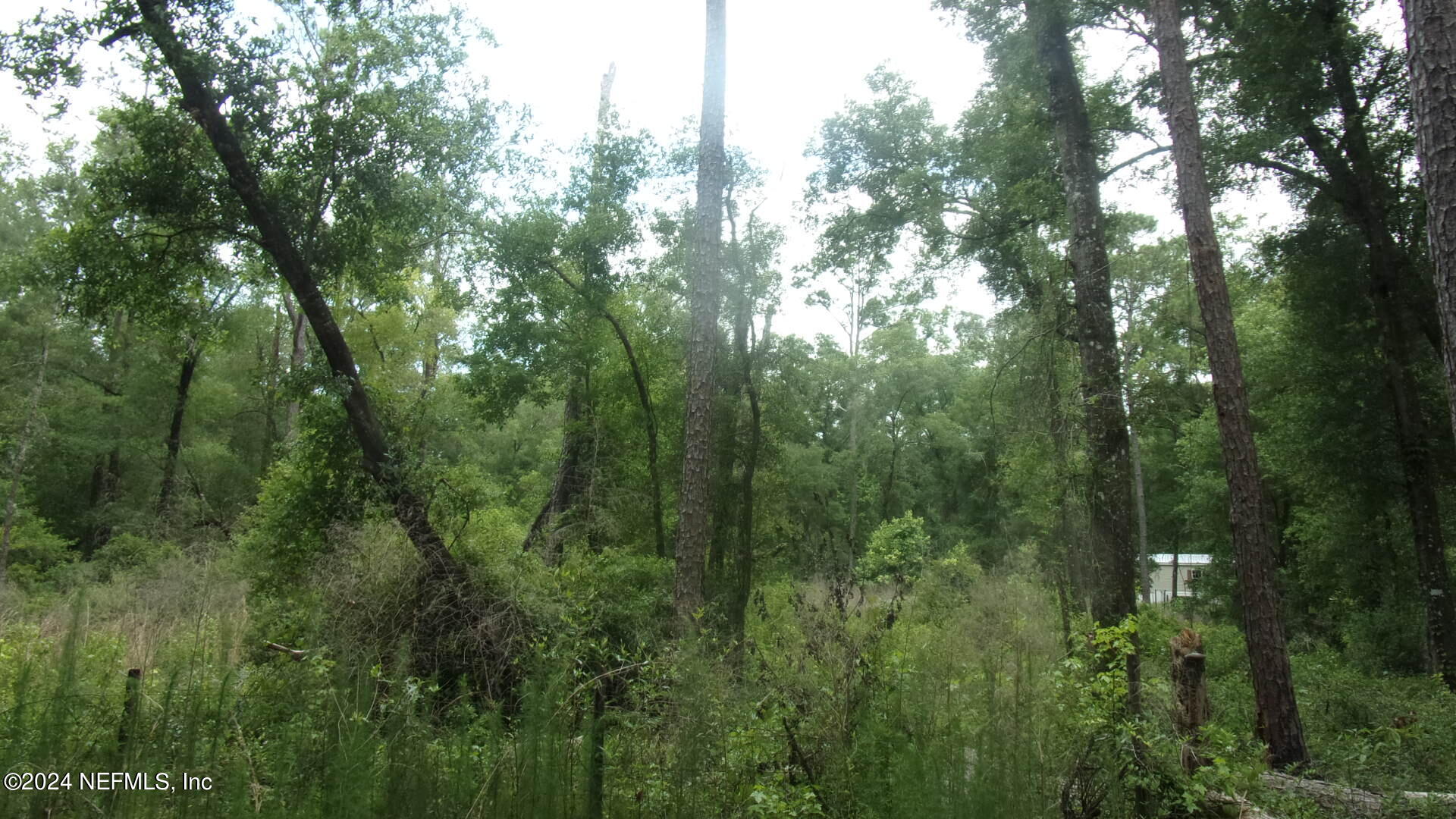 141 Crosby Road Florahome, FL 32140 - Photo 15 of 23 016